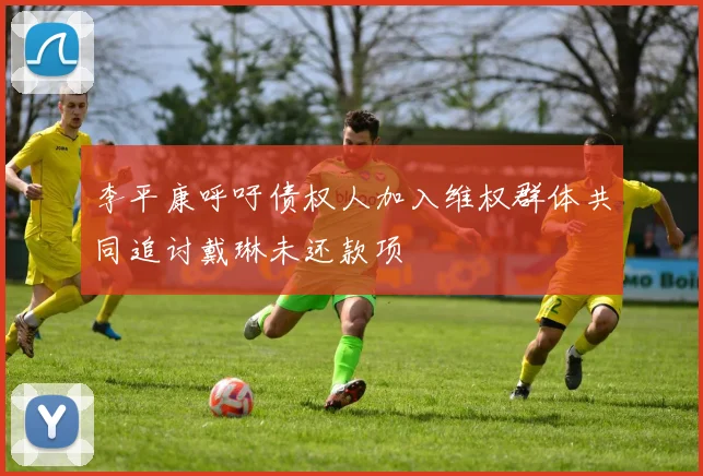 李平康呼吁债权人加入维权群体共同追讨戴琳未还款项