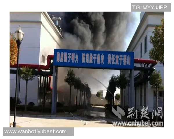 维尼修斯家中火灾调查揭示地下室桑拿房成起火源头